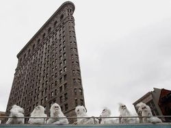 Deretan Foto yang Bikin Terheran-heran