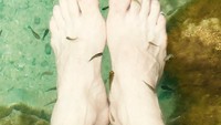 Kamu yang tak ingin berenang bisa sekedar mencelupkan kaki dan menikmati pedikur alami dari ikan-ikan. (pusscahh/Instagram)