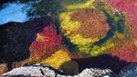 Foto: Sungai 5 Warna Sungguhan Ada