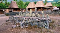 Di tengah perkampungan ini juga terdapat tiga buah lopo yang dipercaya warga kampung Gurusina sebagai tempat peristirahatan para leluhur mereka. Tanduk kerbau di tiap rumah menandakan kejayaan dan kebesaran akan harta dan kekayaan setiap warga penghuni rumah adat di sini (magicalflores/Instagram)