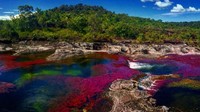 Sungai ini bernama Cano Critales, berada di Sierra de la Macarena, Kolombia. (juexplores/Instagram)