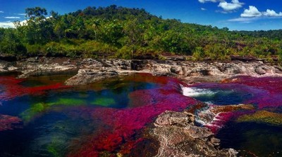 Foto: Sungai 5 Warna Sungguhan Ada