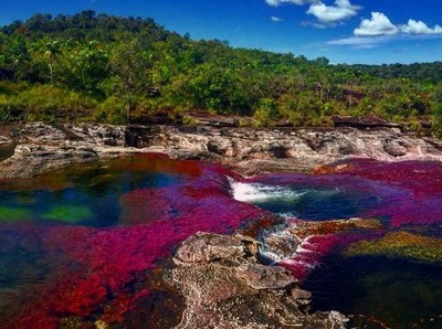 Foto: Sungai 5 Warna Sungguhan Ada Foto: Sungai 5 Warna Sungguhan Ada