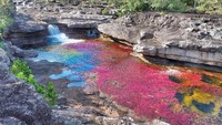 Ganggang tersebut punya warna yang menarik, seperti merah, kuning, hijau, cokelat, dan biru. Warna tersebutlah yang kemudian terlihat di permukaan air. (juanestebanso/Instagram)