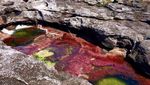 Foto: Sungai 5 Warna Sungguhan Ada