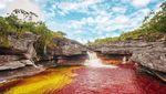 Foto: Sungai 5 Warna Sungguhan Ada