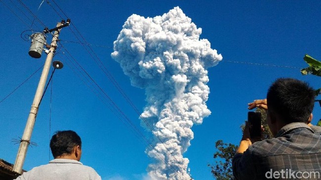 Foto: Ragil Ajiyanto/detikcom Foto: Ragil Ajiyanto/detikcom