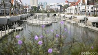 Proyek revitalisasi yang terinspirasi penataan Sungai Cheonggyecheon di Korea Selatan ini dilakukan guna mendorong kawasan Kota Tua sebagai destinasi wisata unggulan di Provinsi DKI Jakarta.