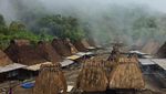 Foto: Kampung Adat di Flores yang Super Cantik