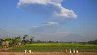Sejumlah petani melihat kepulan asap letusan freatik Gunung Merapi di Sawit, Boyolali, Jawa Tengah, Jumat (11/5). Berdasarkan data Badan Nasional Penanggulangan Bencana (BNPB) terjadi letusan freatik Gunung Merapi disertai suara gemuruh dengan tekanan sedang hingga kuat dan tinggi kolom 5.500 meter dari puncak kawah pada pukul 07.32 WIB. ANTARA FOTO/Aloysius Jarot Nugroho.
