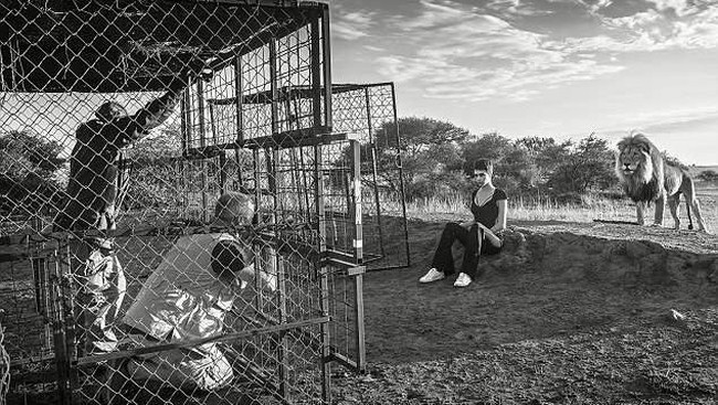 Pemotretan ini melibatkan David Yarrow, fotografer kenamaan yang biasa memotret hewan liar. Karyanya kerap dipamerkan di museum. Jika dijual, harga potret hasil jepretannya bisa mencapai ratusan juta rupiah. (Foto: Dok. TAG Heuer)