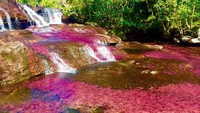 Pemandangan cantik ini hanya bisa kamu lihat di saat musim peralihan, ketika ganggang terkena matahari dan mendapatkan air yang cukup. (awake.travel/Instagram)