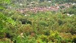 Foto: Kampung Adat di Flores yang Super Cantik