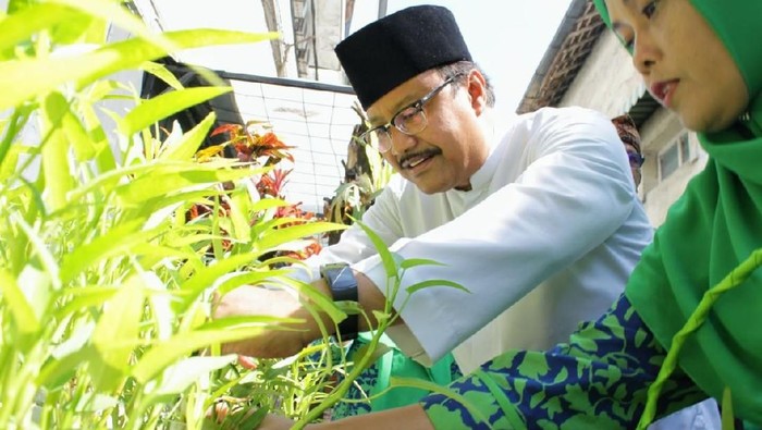 Datangi Kampung Go Green, Gus Ipul Adopsi Gemar Jadi Lebih Besar