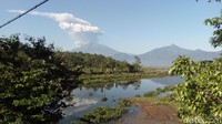 Ketinggian asap 5 km. Bisa menjadi hujan abu, prediksi awal mengarah ke selatan asapnya itu. Imbauan warga untuk waspada potensi hujan abu, kata Kasi Gunung Merapi Balai Penyelidikan dan Pengembangan Teknologi Kebencanaan Geologi (BPPTKG) Yogyakarta, Agus Budi Santoso saat dihubungi, Jumat (11/5). (Foto: Eko Susanto/detikcom)
