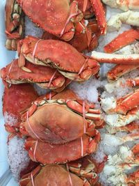Mau Belanja Seafood Segar? Ini yang Perlu Anda Perhatikan