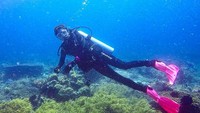 Ternyata Praya pernah ke Indonesia lho! Ini fotonya saat diving di Raja Ampat, Papua. (prayalundberg/Instagram) Ternyata Praya pernah ke Indonesia lho! Ini fotonya saat diving di Raja Ampat, Papua. (prayalundberg/Instagram)