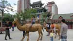 Foto: Jejak Wisata Kuliner Muslim di Jalur Sutra Xinjiang