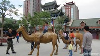 Banyak juga aneka dekorasi untuk foto-foto selfie seperti patung unta (Fitraya/detikTravel)