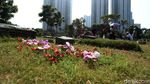 Jelang Ramadan TPU Menteng Atas Dipadati Peziarah