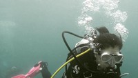 Praya juga diving fotong lho, ini saat diving di Phuket Thailand. (prayalundberg/Instagram) Praya juga diving fotong lho, ini saat diving di Phuket Thailand. (prayalundberg/Instagram)