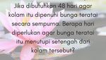 Hanya 17 Persen Orang yang Menjawab 3 Soal ini Dengan Benar, Kalau Kamu?