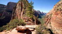 Angels Landing berlokasi di Zion National Park, salah satu taman nasional di Negara Bagian Utah, Amerika Serikat. Inilah jalur trekking sepanjang 8 km (utah.com)