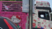 Truk hadir dengan warna kombinasi pink dan putih. Foto: Pembaca/Suci Damaeanti