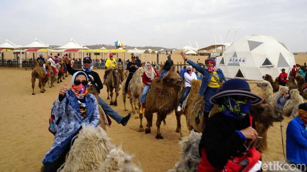 Muslim Traveler Muslim Traveler