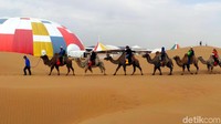 Naik unta di gurun pasir China tentunya jadi pengalaman baru yang mesti traveler coba. Ternyata unta tak hanya monopoli Arab saja, China juga punya. (Wahyu/detikTravel)