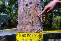 Terduga Teroris yang Disergap di Sukabumi Sering Latihan Memanah