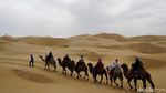 Foto: Sensasi Naik Unta di Padang Pasir China