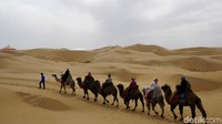 Selama kurang lebih 5 menit, traveler akan diajak berkeliling di area gurun pasir Xiangshawan. Wajah-wajah senang tentu saja terlihat dari traveler yang merasakan pengalaman ini. (Wahyu/detikTravel)