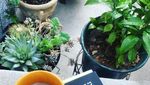 Sudah Ngopi? Ini 10 Gaya Netizen Ngopi di Pagi Hari yang Segar