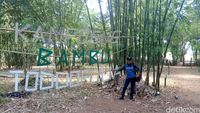 (Muhammad Bakri/detikTravel)
