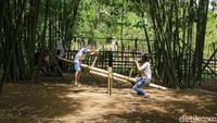 Objek wisata yang satu ini cukup unik, karena selain menyuguhkan pemandangan rimbunan pohon bambu dan hamparan persawahan, di lokasi ini, traveler bisa menikmati ragam permainan tradisional yang semuanya terbuat dari bambu. Mulai dari jungkat-jungkit, hingga tembak-tembakan bambu. (Muhammad Bakri/detikTravel)