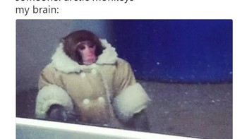 Untuk yang belum tahu, Arctic Monkeys itu nama sebuah band ya, bukan semata-mata cuma monyet kutub. Foto: istimewa