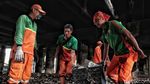 Petugas Berjibaku Bersihkan Sampah di Kolong Tol Tanjung Priok