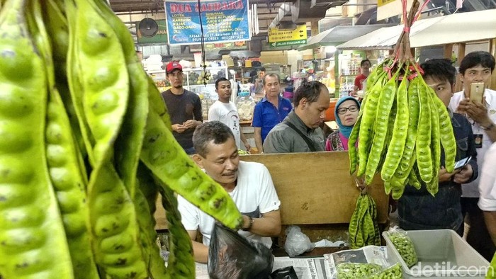 Petai cukup digemari meski baunya dianggap tidak sedap (Foto: Tri Ispranoto) Petai cukup digemari meski baunya dianggap tidak sedap (Foto: Tri Ispranoto)