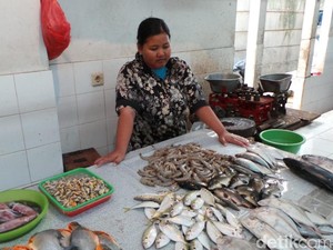 Harga Daging Sapi Diprediksi Naik saat Puasa, Mending Beli Ikan