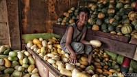 Dua buah ini menjadi campuran es buah.