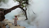 Sungai mendidih ini dikenal dengan nama The Boiling River alias sungai yang mendidih (The Boiling River Project/ Facebook)  