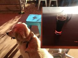 Kumpulan Foto yang Bikin Mata Terkecoh