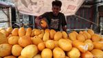 Timun Suri dan Blewah Bersiap Jadi Primadona
