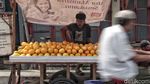 Timun Suri dan Blewah Bersiap Jadi Primadona