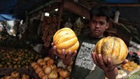 Seorang pedagang menunjukan buah blewah.
