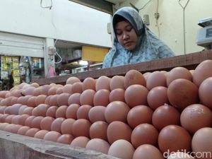 Harga Telur Ayam Tinggi, Mentan Minta Satgas Pangan Cek Kartel