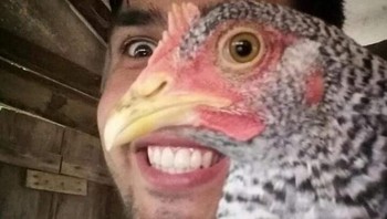 Manusia setengah ayam. (Foto: Brightside)