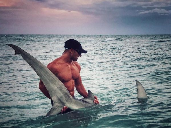 Foto: Kekarnya Pawang Hiu Elliot Sudal, Aquaman di Dunia Nyata