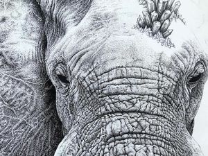 Habiskan Waktu 160 Jam, Seniman Ini Bikin Lukisan Gajah Penuh Dots